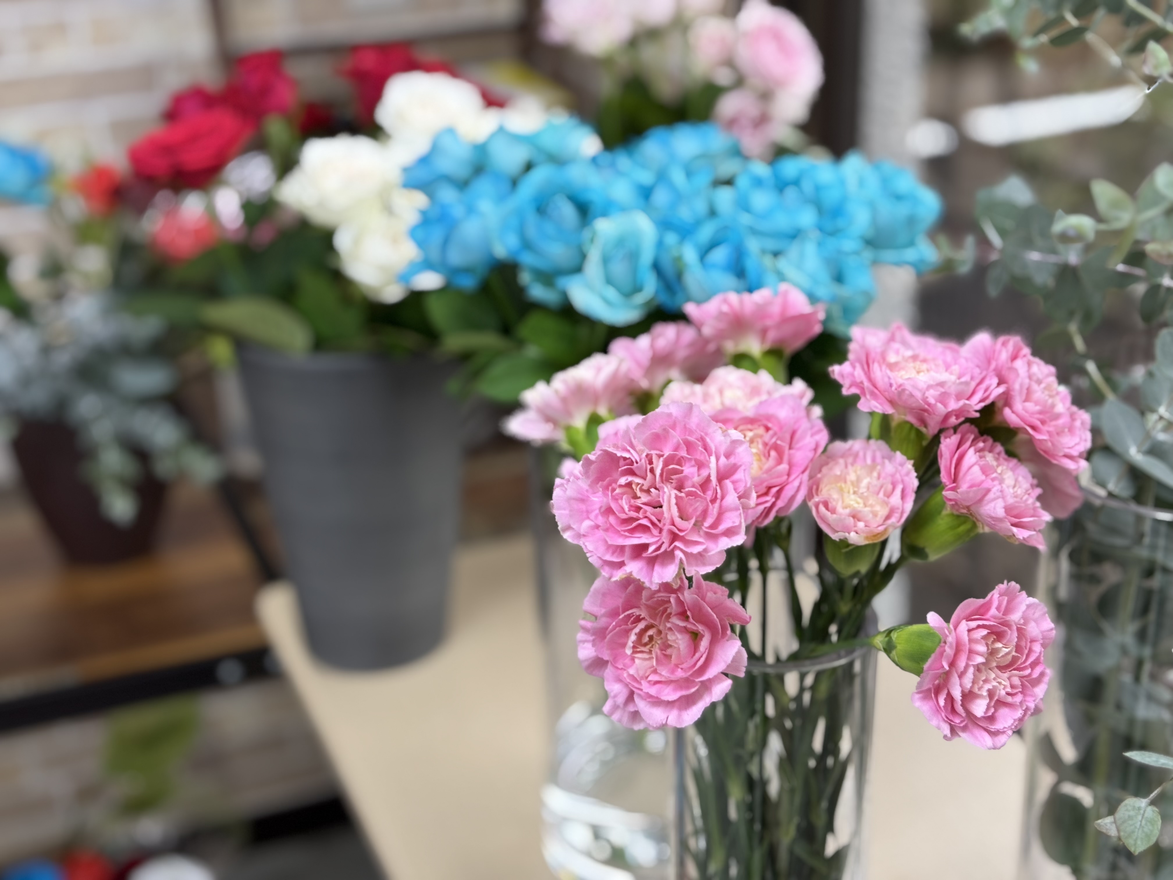 室内ドッグランぴおな 花